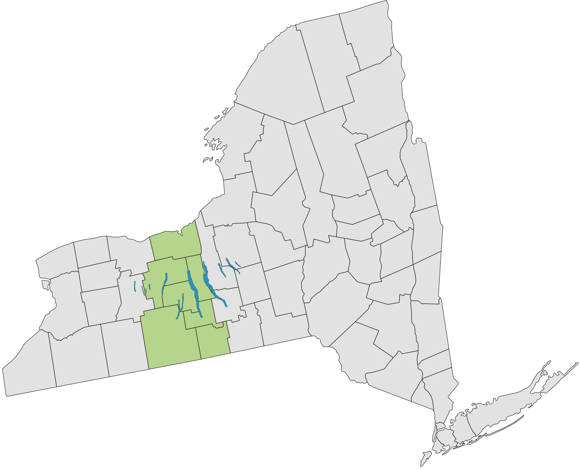 NYS County Map